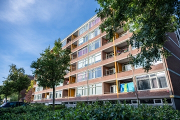 Plutolaan door Rianne Martens