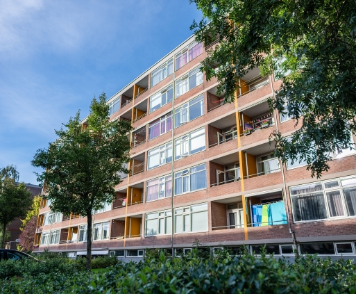 Plutolaan door Rianne Martens